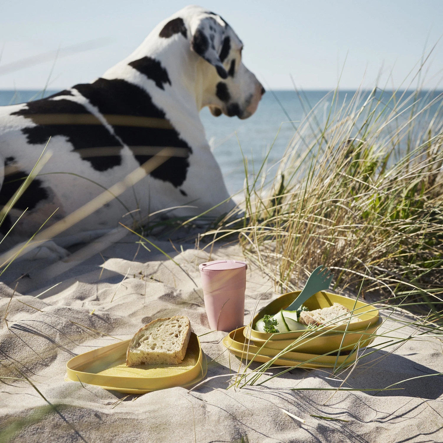 Light My Fire LunchKit BIO - Sandygreen - Image 4