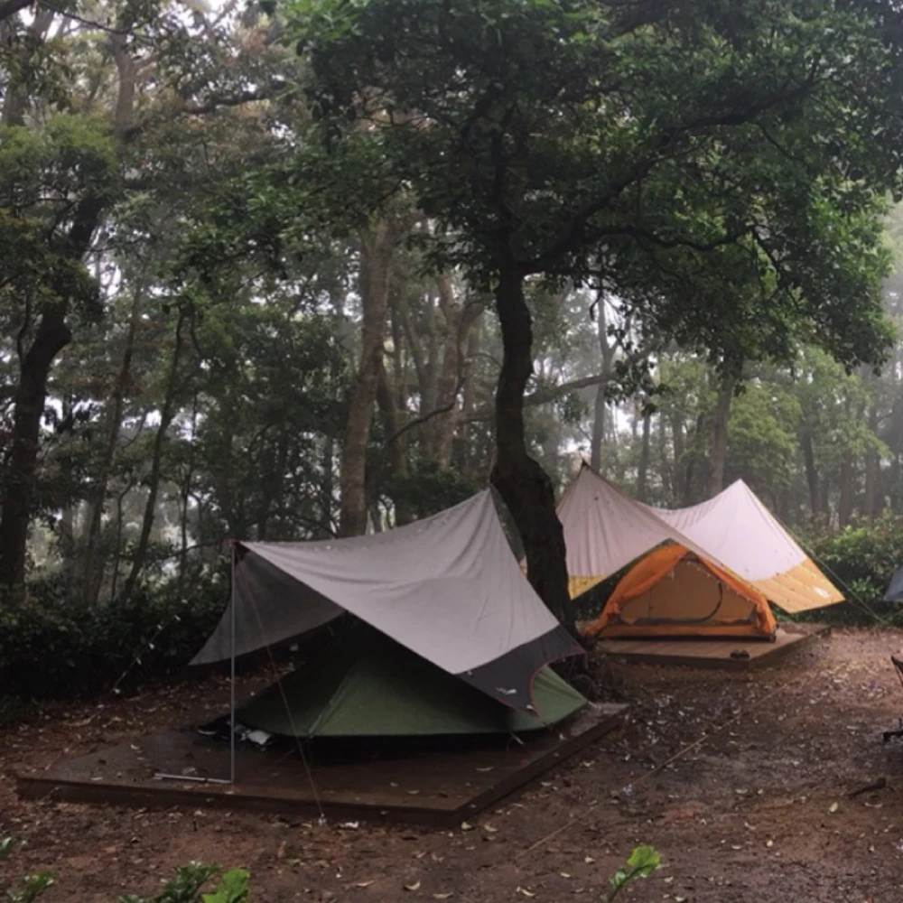 Vidalido Large Butterfly Tarp Black - Image 6