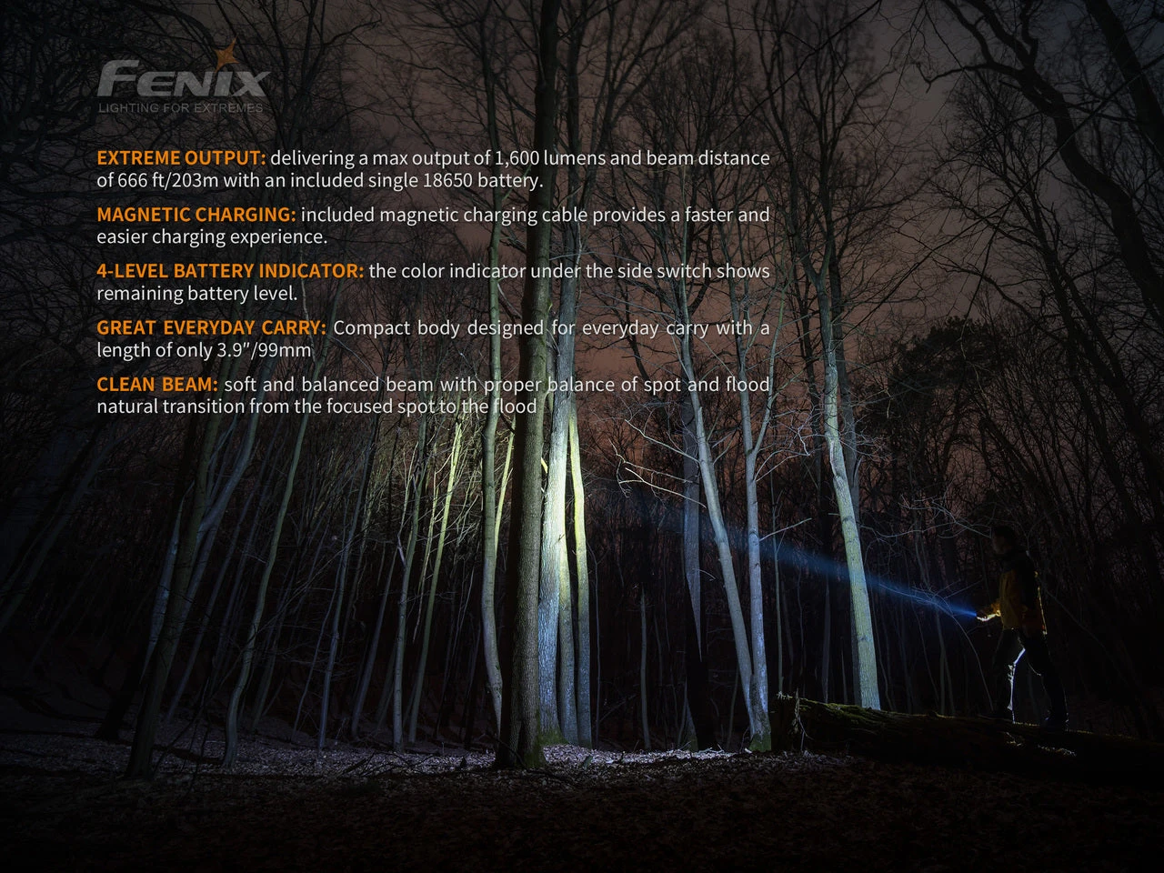 Fenix E30R Luminus SST40 LED Flashlight BLACK - Image 5