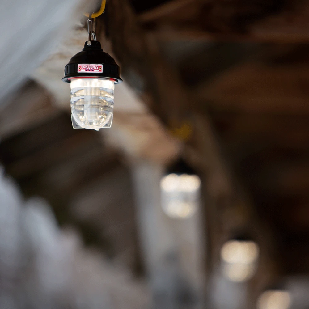 Barebones Beacon Kraft Packaging - Olive - Image 4